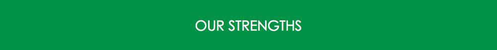  OUR STRENGTHS